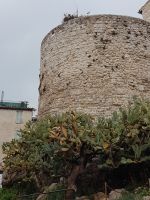 Turm mit Kakteen