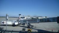 Unser Flieger der Lufthansa ab Dresden