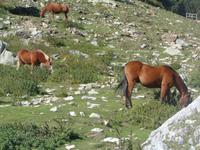 Val de Nuria