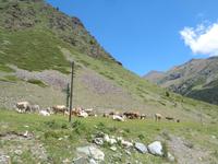 Vall de Núria