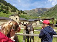 Vall de Nuria