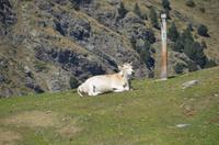 Vall de Nuria
