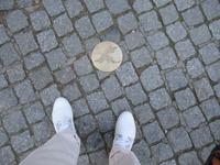 Vannes -  