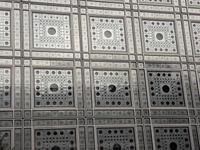 Viele Augen
