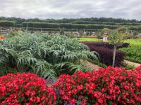 Villandry