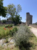 Viviers