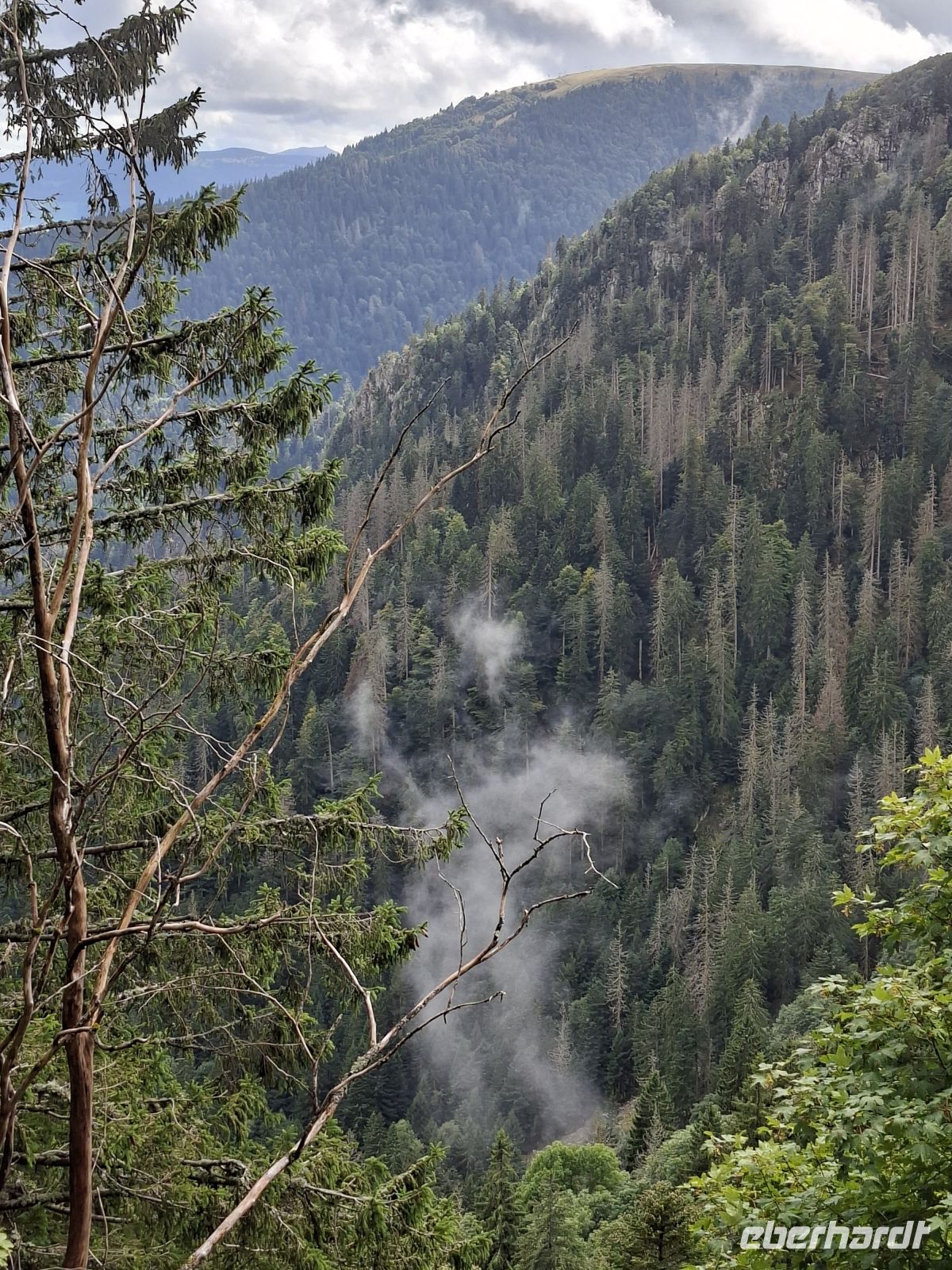 Vogesen - Talblick