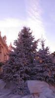 Weihnachtsdeko in Monte Carlo