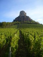 Weinanbau im Mâconnais