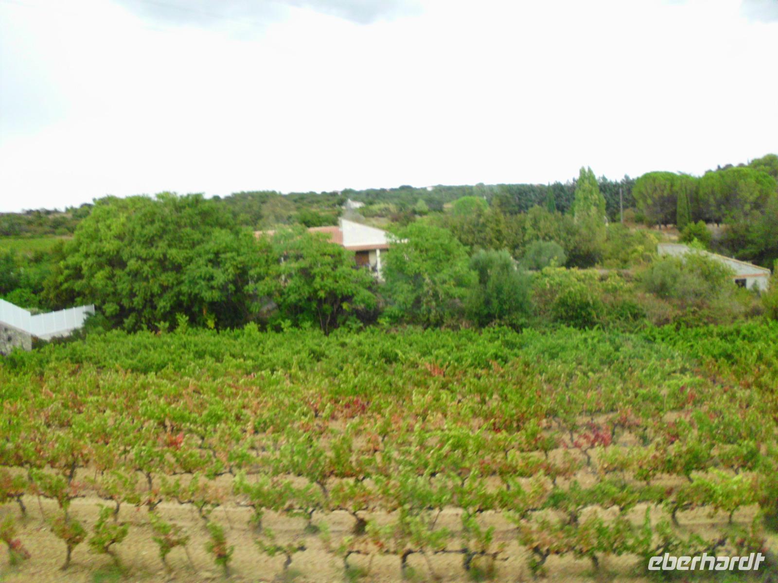 Weingebiete auf dem Weg zur Ardeche