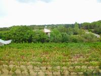 Weingebiete auf dem Weg zur Ardeche