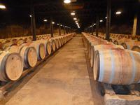Weinmuseum 