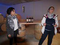 Weinprobe im Médoc