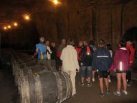 Weinprobe in Chinon