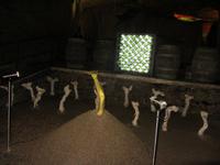 Weinprobe in Chinon