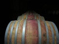 Weinprobe in Chinon