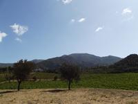 Weinverkostung - Clos Santini, Weinplantage