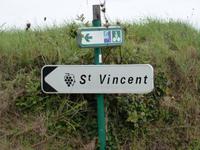 Zum Weingut St. Vincent bei Saumur
