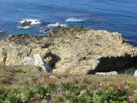 am Ponint du Raz