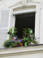 auf Montmartre