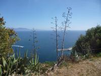 auf dem Rückweg nach Porticcio 
