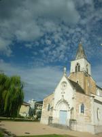 auf der Route des Grands Crus 