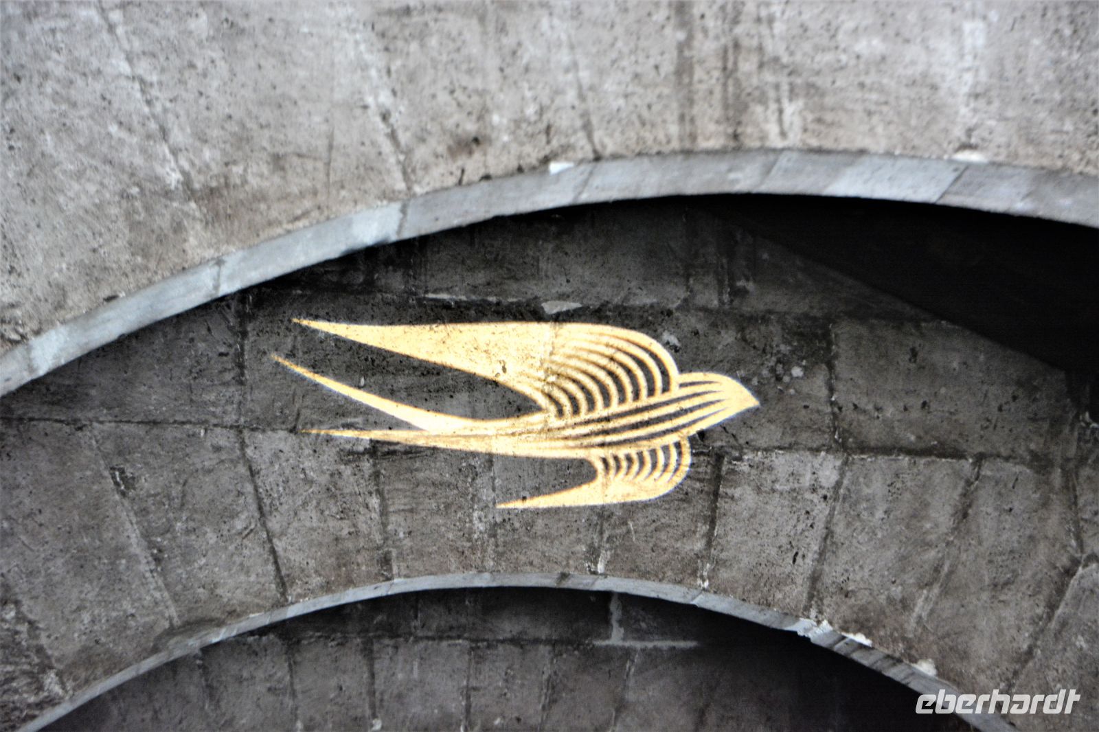 ein Mauersegler als Symbol