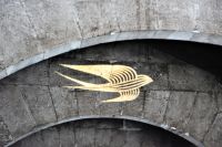 ein Mauersegler als Symbol