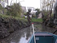 im Marais Poitevin
