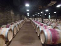 im Weinmuseum