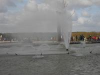 in Versailles
