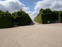 in Versailles