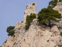 in den Calanques 