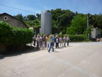 in der Weinkellerei