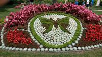 normandie jardin de coutances733
