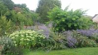 normandie jardin francois813