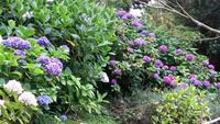 normandie jardin704