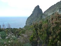 wilde Landschaft