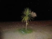 Abendspaziergang Batumi