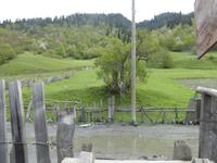 gegenüber vom Turm der Liebe - kein Hostel!