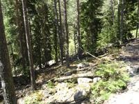 Wanderung zum Chalaadi Gletscher