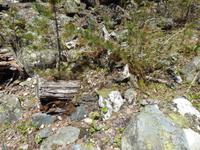 Wanderung zum Chalaadi Gletscher