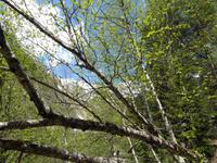 Wanderung zum Chalaadi Gletscher