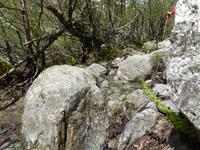 Wanderung zum Chalaadi Gletscher