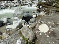 Wanderung zum Chalaadi Gletscher