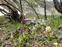 Wanderung zum Chalaadi Gletscher