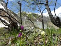 Wanderung zum Chalaadi Gletscher