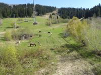 von Hatsvali nach Zuruldi