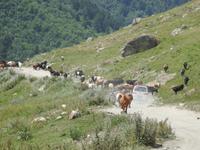 unterwegs nach Ushguli