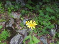 Wanderung zum Chaaladi Gletscher